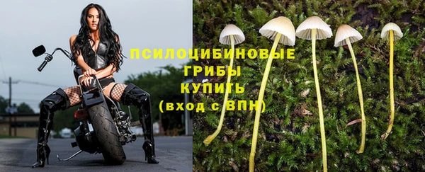 тгк Горняк