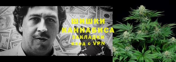 тгк Горняк