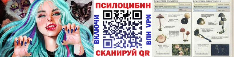 Галлюциногенные грибы GOLDEN TEACHER  Дивногорск 