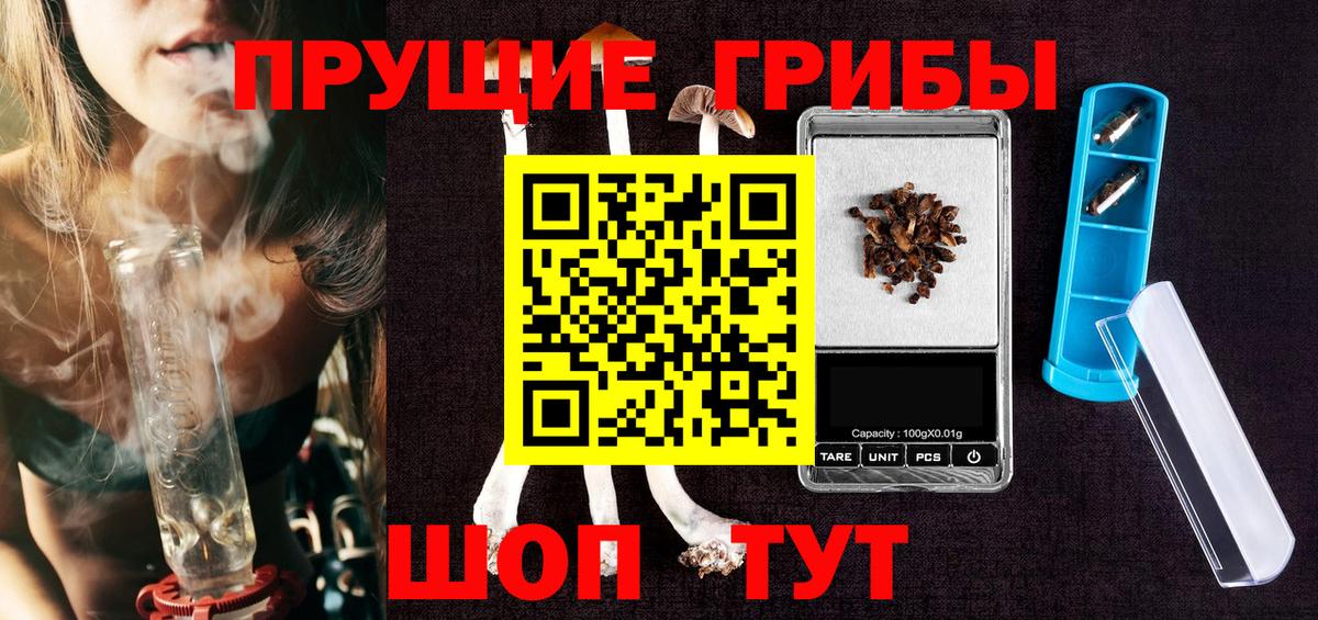 купить наркоту  Вход с VPN  Псилоцибиновые грибы MAGIC MUSHROOMS  Дивногорск  Галлюциногенные грибы Psilocybine cubensis 