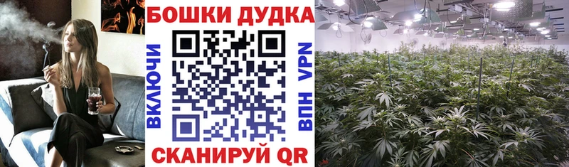 Канабис OG Kush  Дивногорск 